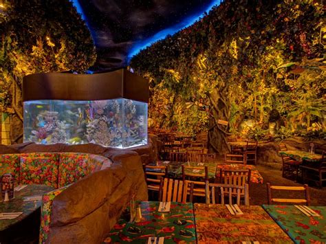 Rainforest cafe niagara falls - The Rainforest Café Niagara Falls is located on the corner of Clifton Hill and Falls Avenue in Niagara Falls, Ontario, Canada. This restaurant is part of th...